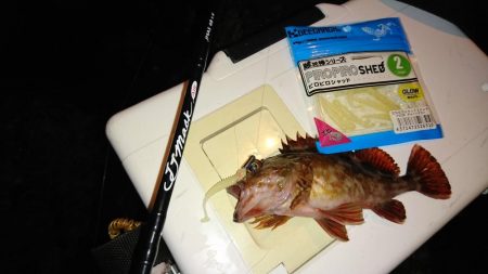 ライトゲーム調査