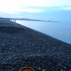 トップでハマチ