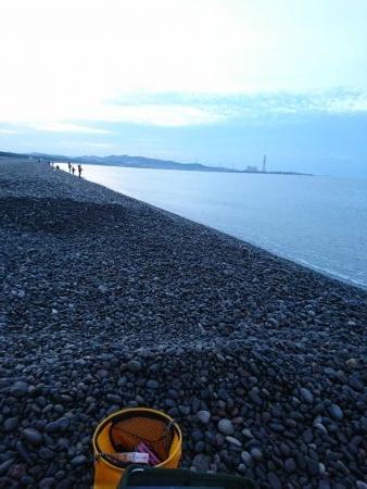 トップでハマチ