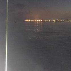 太刀魚すら渋い