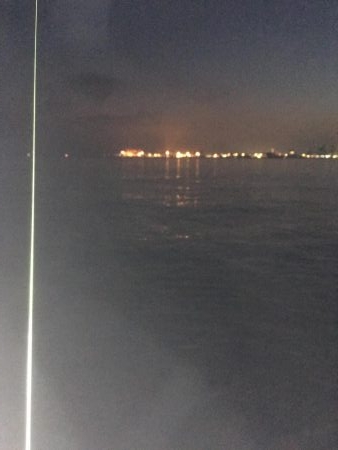 太刀魚すら渋い