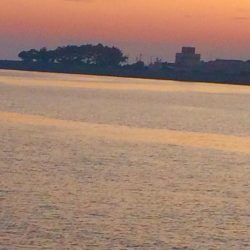 キス釣りでタコ&カレイ