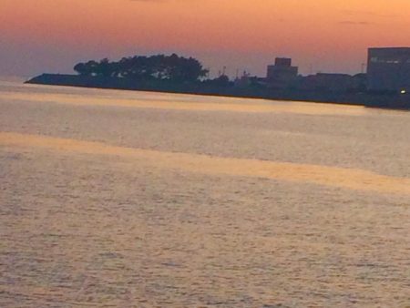 キス釣りでタコ&カレイ