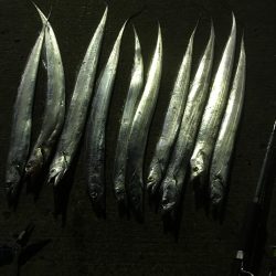 しゃくってダメならただ巻きだ!!