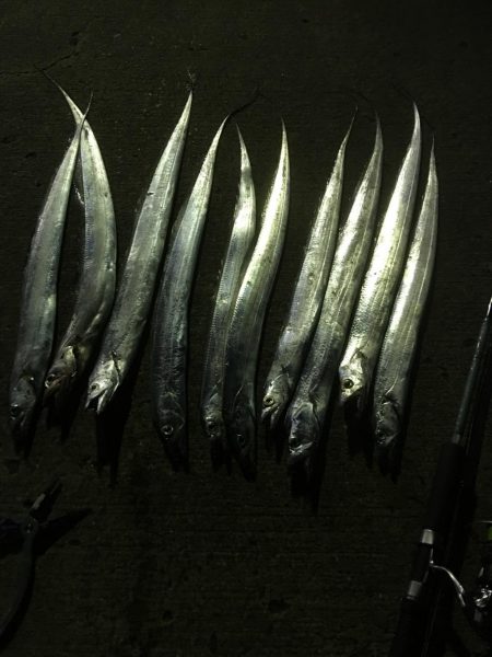 しゃくってダメならただ巻きだ!!