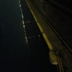 昨日に続いてタチウオ釣行