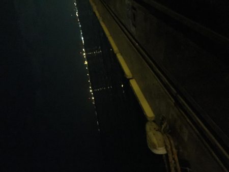 昨日に続いてタチウオ釣行