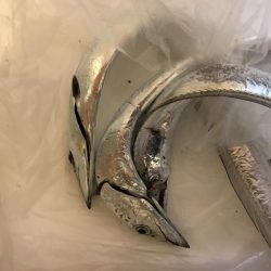 バイブでタチウオ！