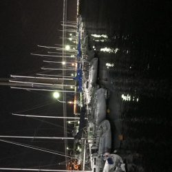 風風風＝シーバス。