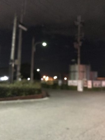 シーバスおるよ。