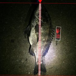 四日市港でライトワインド