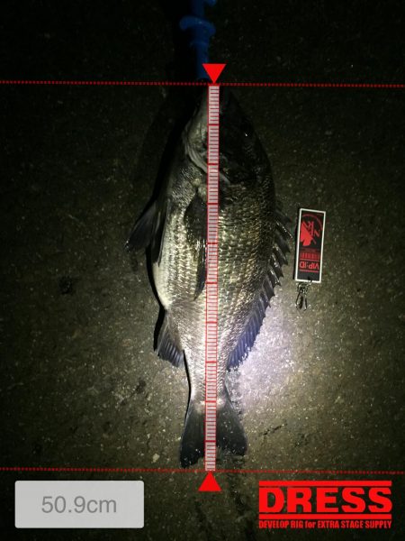 四日市港でライトワインド