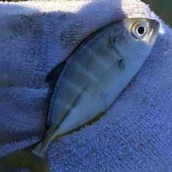 夜練から朝練！