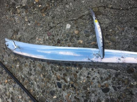 休みの日釣り三昧♫