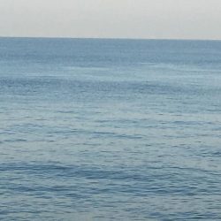 潮が動かんとキツイな〜！