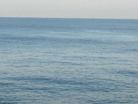 潮が動かんとキツイな〜！