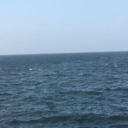 強風と濁りの中、攻略成功♫