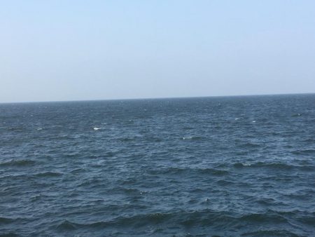 強風と濁りの中、攻略成功♫