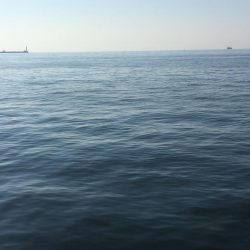 偶には違うポイントで朝練♫