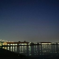 タチウオつれず、グレが。