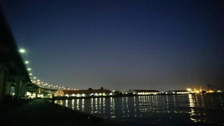 タチウオつれず、グレが。