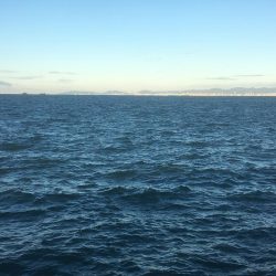 人が多い、、、