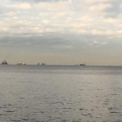 渋くても釣りますよ〜♫