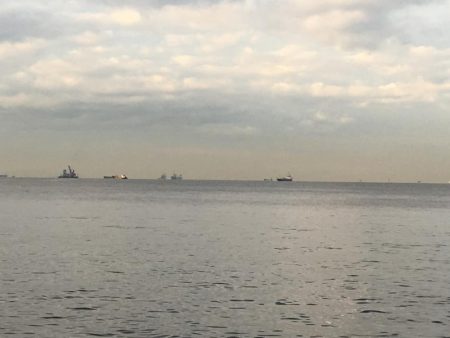 渋くても釣りますよ〜♫