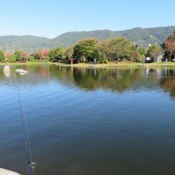久しぶりの管理釣り場！でも渋かった！！