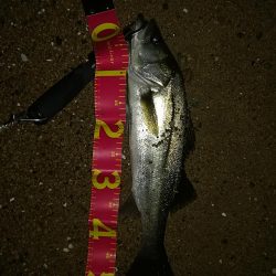 お祭りは続いてた。