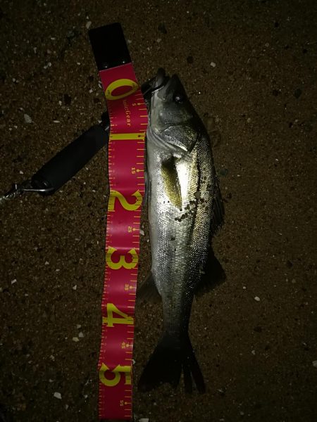 お祭りは続いてた。