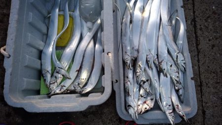 大きいサイズが少ない