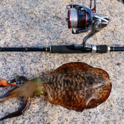 深夜から夕方まで休憩とりながら各所ランガンスタイルで