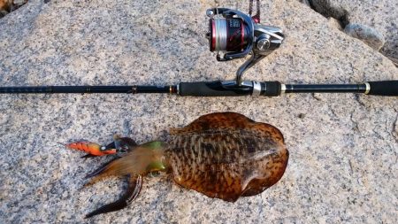 深夜から夕方まで休憩とりながら各所ランガンスタイルで