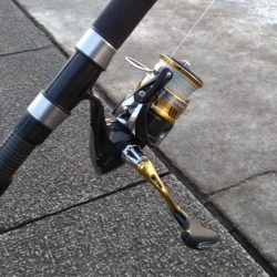 激寒で激渋の朝