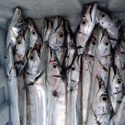 アタリはあるけど小さい