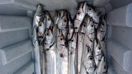 アタリはあるけど小さい