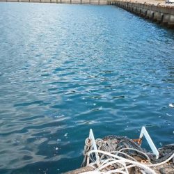 あちこちランガンで捕獲