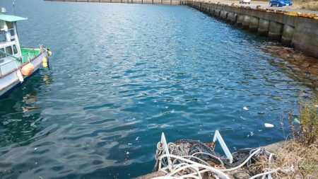 あちこちランガンで捕獲