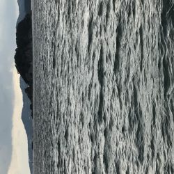 良型には逢えず！