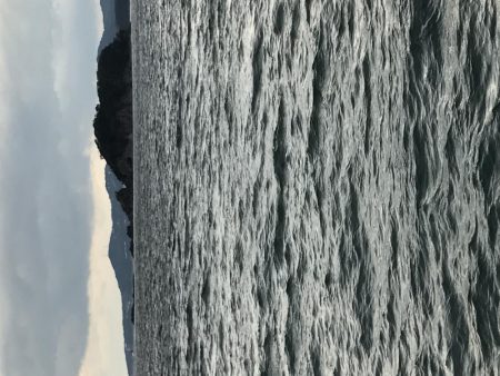 良型には逢えず！