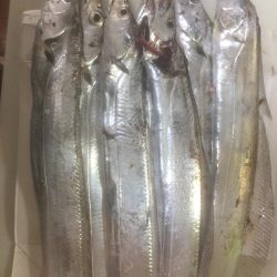 全体的にサイズアップ