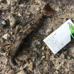 kissできませんでした、、、