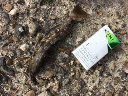 kissできませんでした、、、