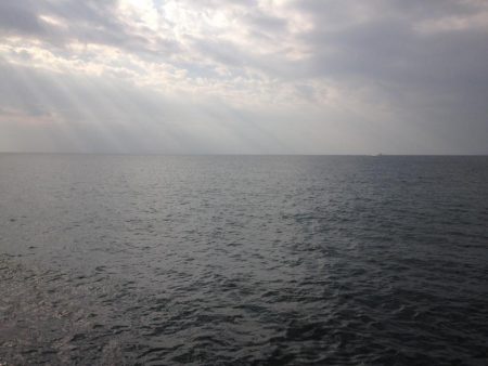 ハマワンタチワン