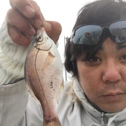 横須賀の釣り公園へ行って来ました。