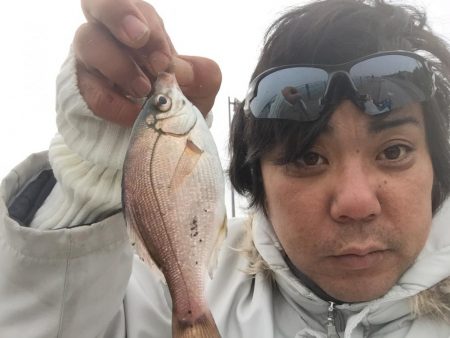 横須賀の釣り公園へ行って来ました。