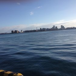 1回ぼうず挟んでハマチゲット