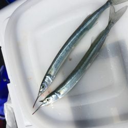 周南 戸田桑原漁港