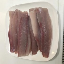 明石沖ジギング